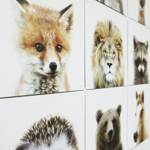 IXXI - Lila and Lola - Animal Family Collage